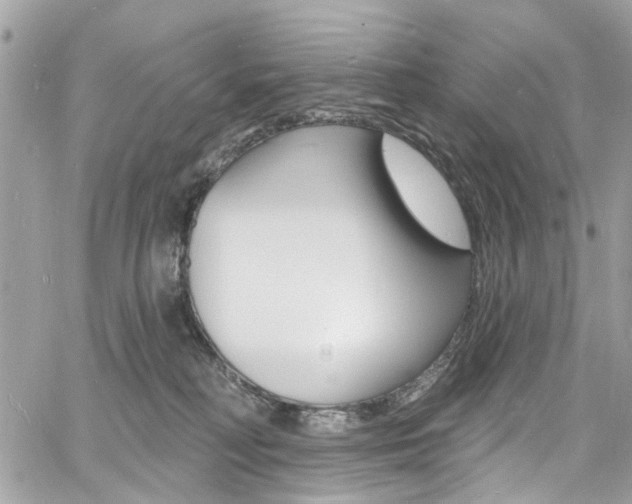 X0000060810230200511101044