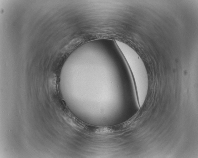 X0000060810231200511101044