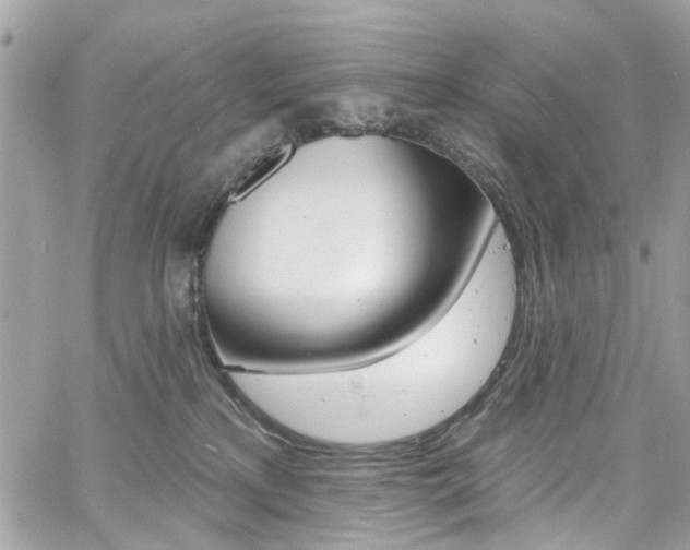 X0000060810233200511101044