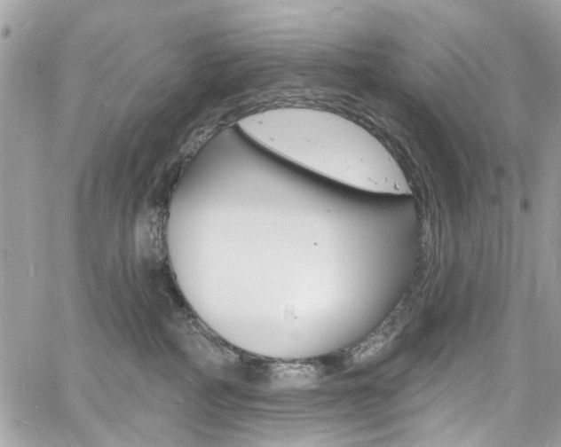 X0000060810234200511101044