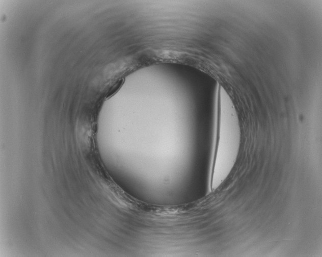 X0000060810235200511101044