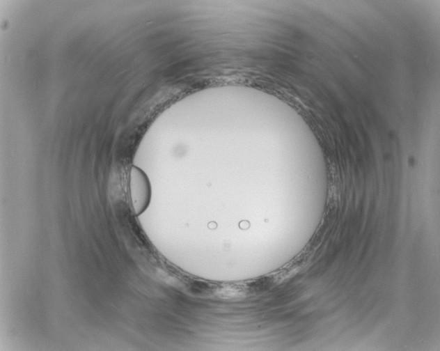 X0000060810236200511101044