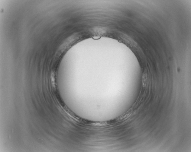 X0000060810238200511101044