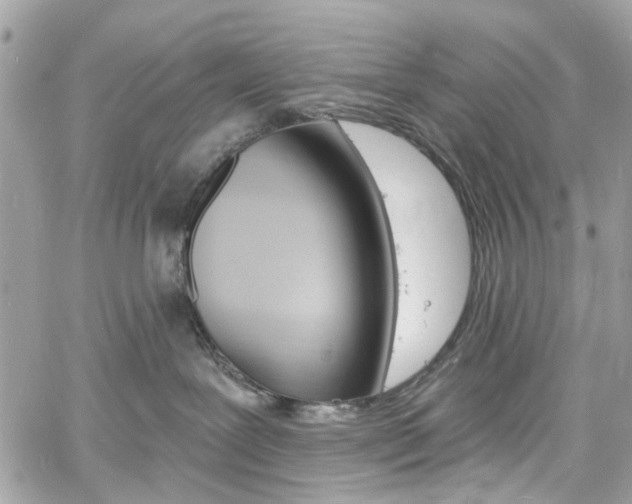 X0000060810239200511101044