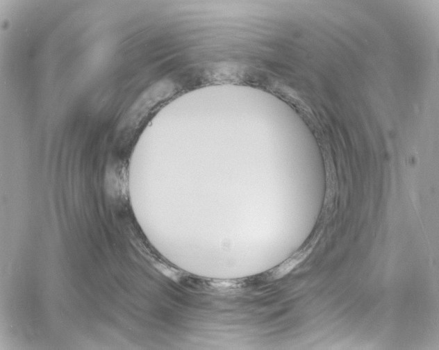 X0000060810240200511101044