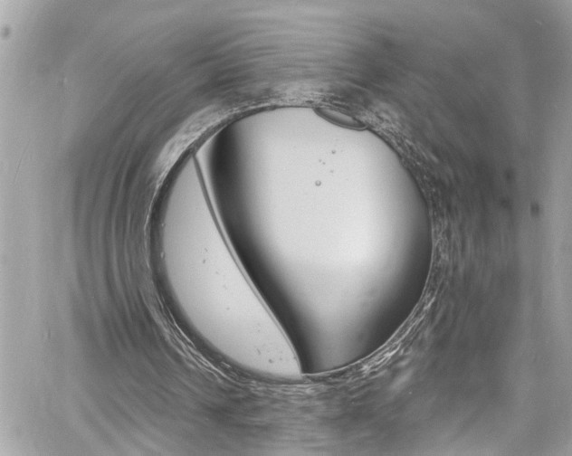 X0000060810242200511101043