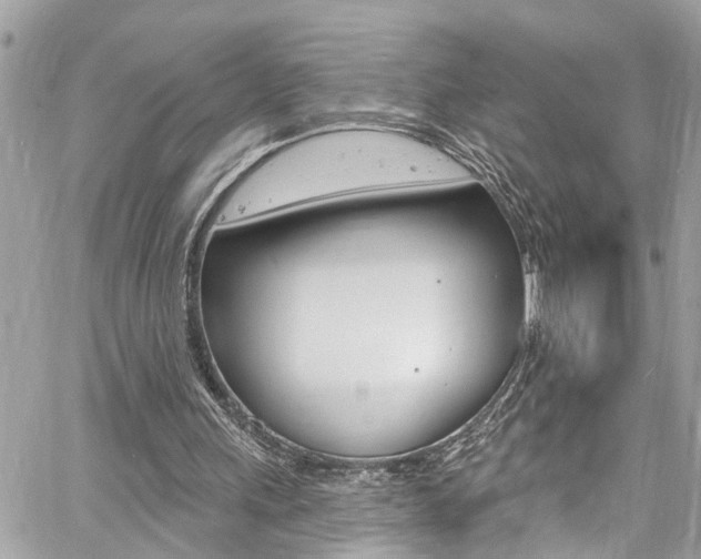 X0000060810243200511101043