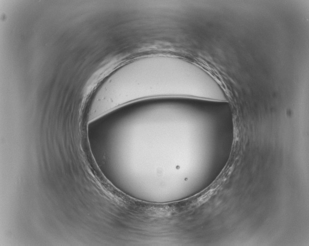 X0000060810245200511101043