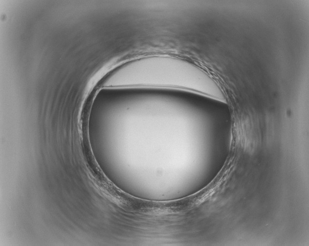 X0000060810246200511101043