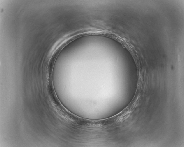 X0000060810247200511101043