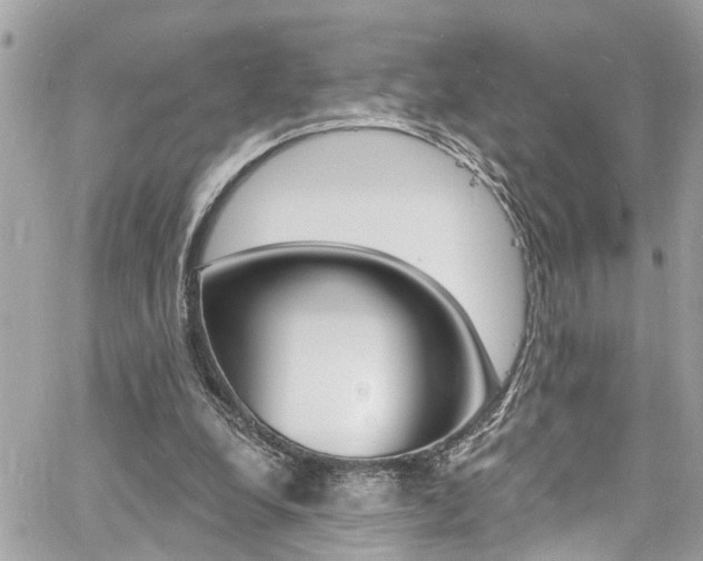 X0000060810248200511101043