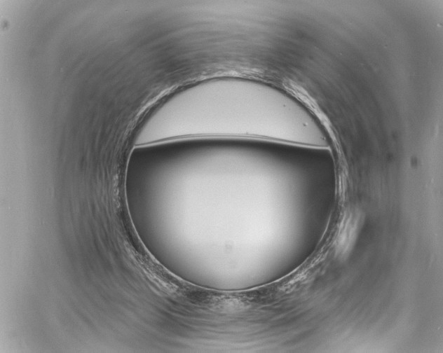 X0000060810249200511101043