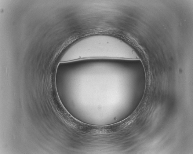 X0000060810250200511101043