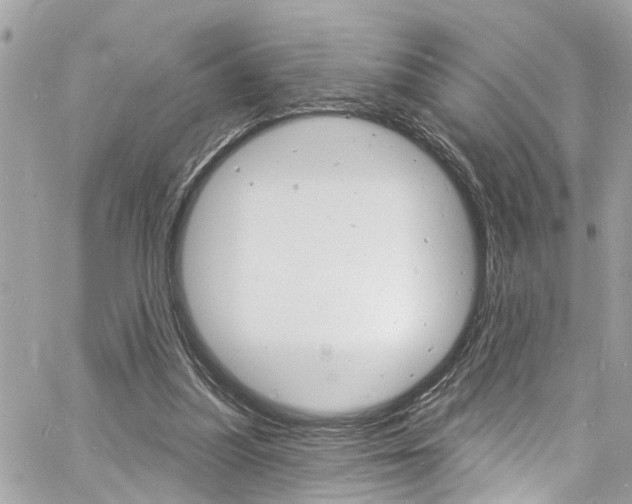 X0000060810251200511101043