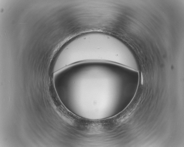 X0000060810252200511101043