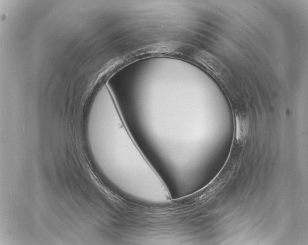 X0000060810253200511101043