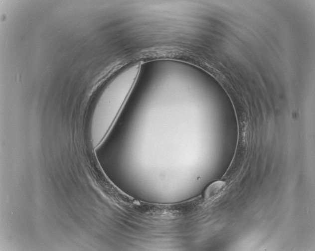 X0000060810254200511101043