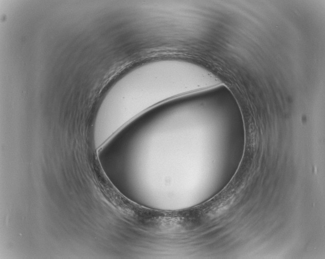 X0000060810255200511101043