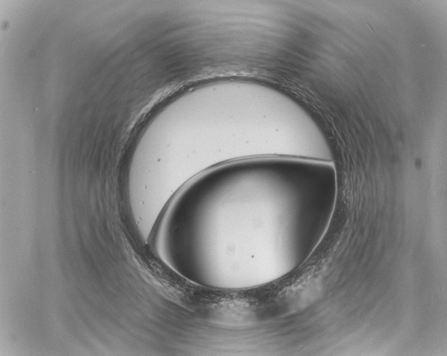 X0000060810256200511101043