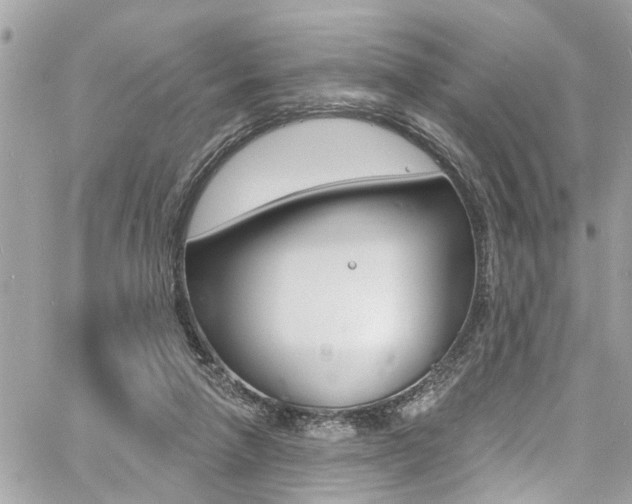 X0000060810258200511101043