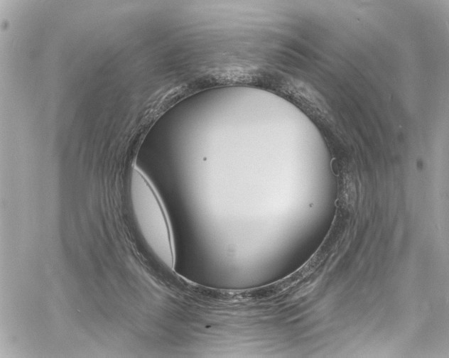 X0000060810259200511101043