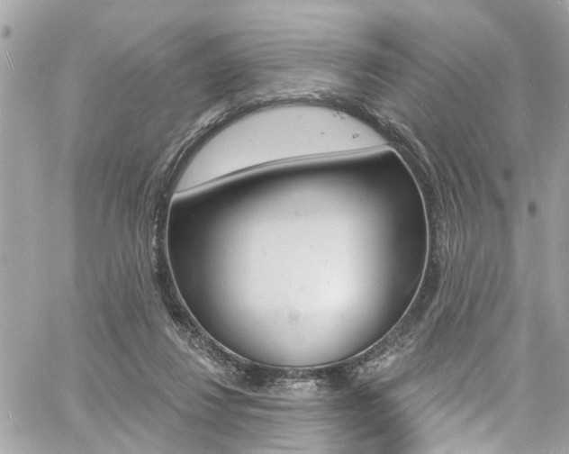 X0000060810260200511101043