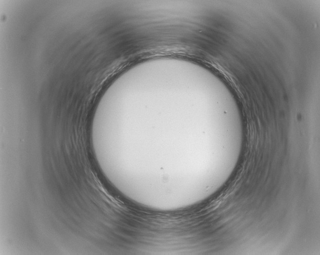 X0000060810261200511101043