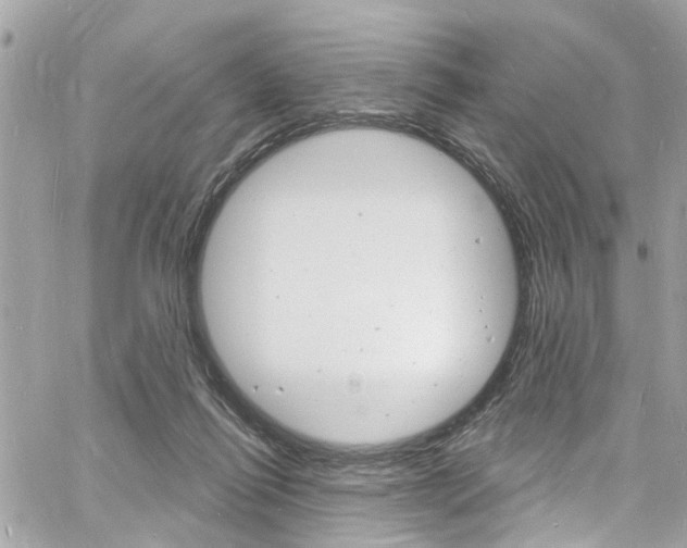 X0000060810262200511101043