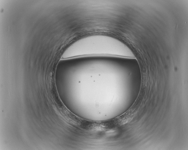 X0000060810263200511101043