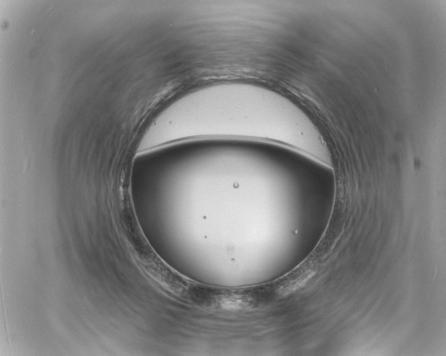 X0000060810264200511101043