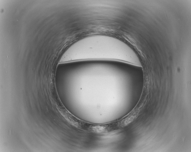 X0000060810265200511101043