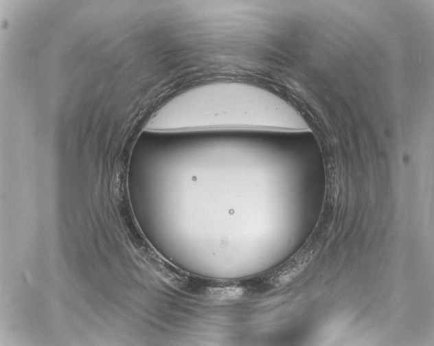 X0000060810266200511101043