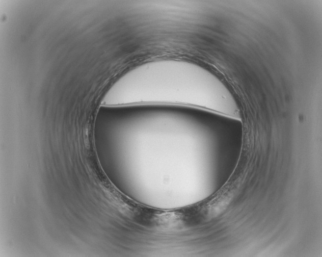 X0000060810269200511101044