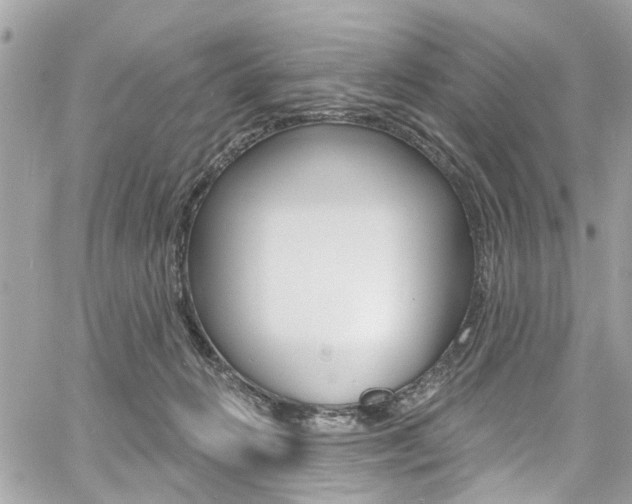 X0000060810270200511101044