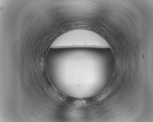 X0000060810271200511101044