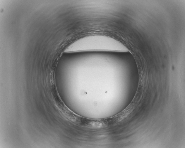 X0000060810272200511101044