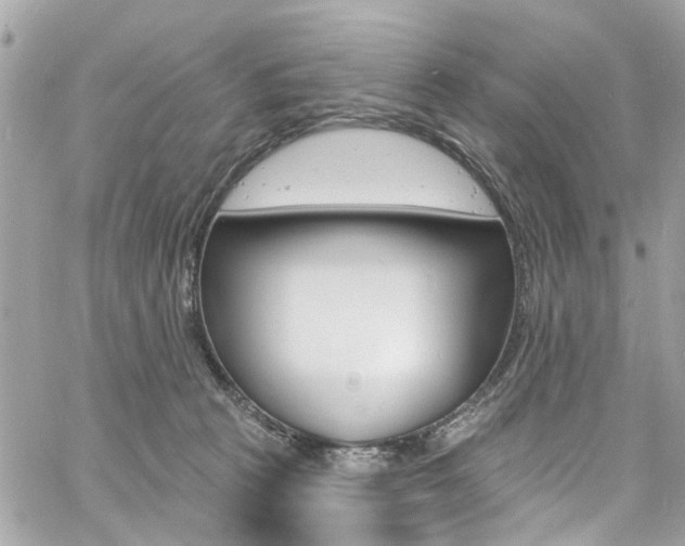 X0000060810273200511101044