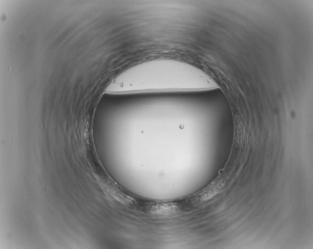 X0000060810274200511101044