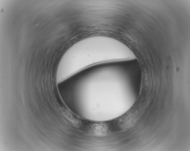 X0000060810275200511101044