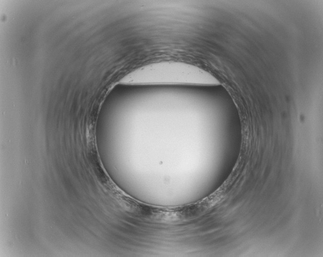 X0000060810276200511101044