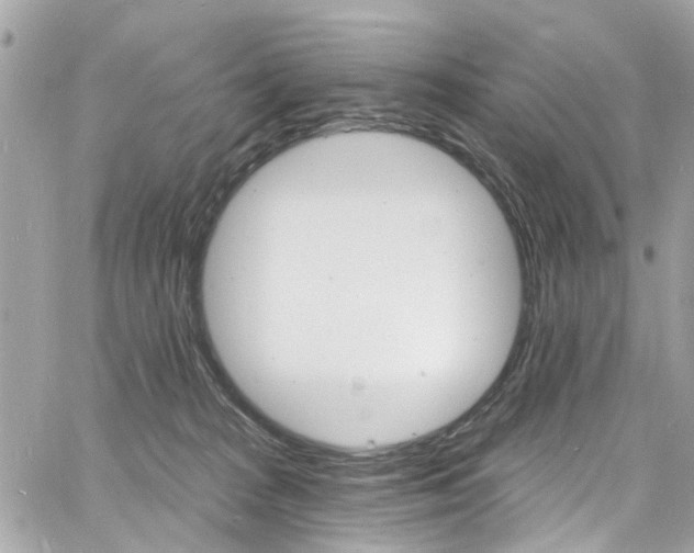 X0000060810277200511101044