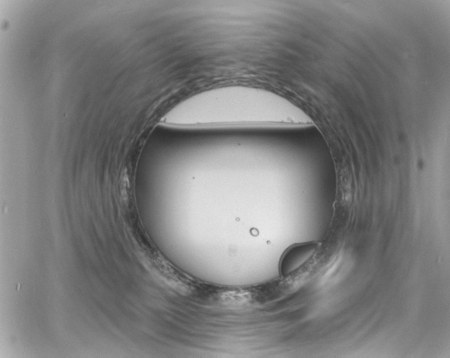 X0000060810279200511101044