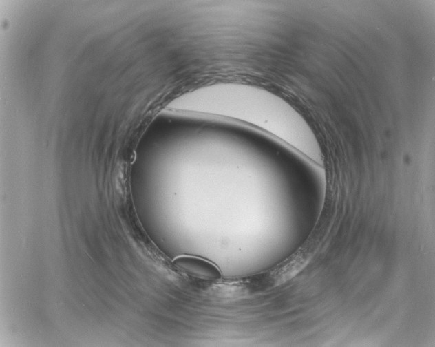 X0000060810280200511101044