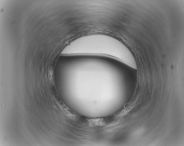 X0000060810281200511101044