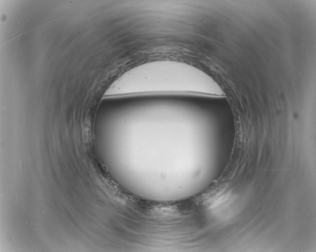 X0000060810283200511101044