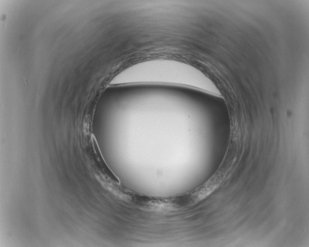 X0000060810284200511101044