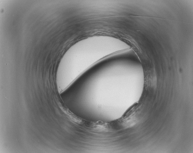 X0000060810285200511101044