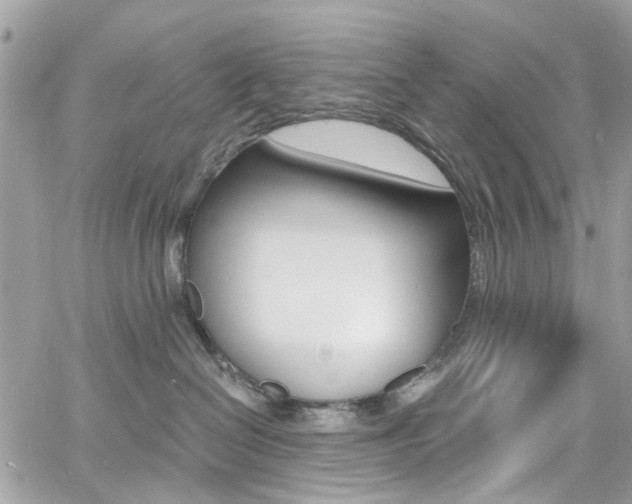 X0000060810286200511101044