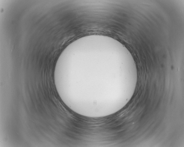 X0000060810287200511101044