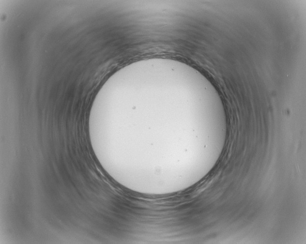 X0000060810288200511101044